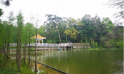 广东天鹿湖森林公园,天鹿湖森林公园