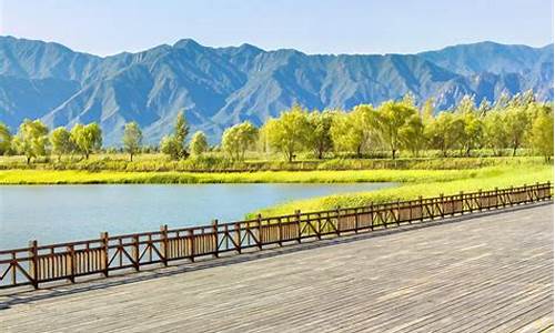 北京野鸭湖湿地公园苍鹭,北京野鸭湖湿地自