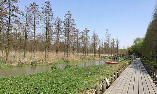 青溪古村,青溪郊野公园攻略