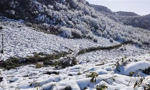 重庆到金佛山路线怎么走的啊_从重庆到金佛山怎么坐车