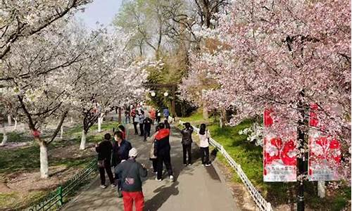 玉渊潭公园樱花节邀请函,玉渊潭樱花节门票多少钱