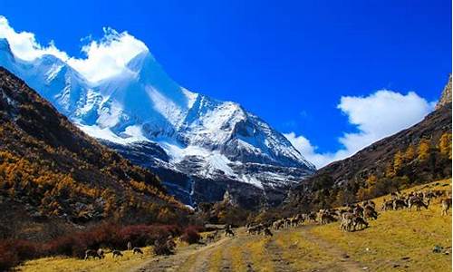 稻城亚丁攻略自驾游,稻城亚丁自由行旅游攻略