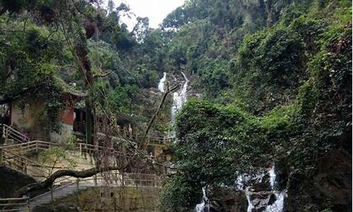 鼎湖山旅游攻略浙江推荐_鼎湖山 风景