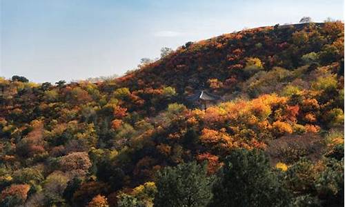 喇叭沟门原始森林公园门票多少钱,喇叭沟门原始森林公园