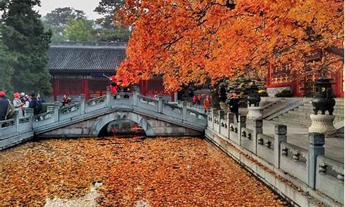 北京香山公园一日游路线_北京香山公园一日游