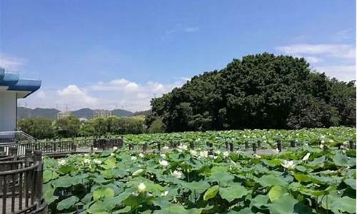 洪湖公园好玩吗,洪湖公园多大面积