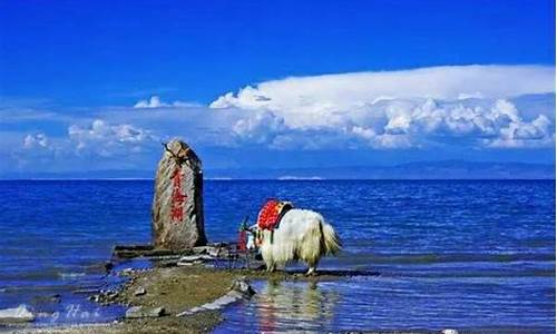 青海湖自驾旅游攻略一日游_青海湖景区自驾游最佳路线