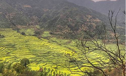 婺源 南京,南京江西婺源旅游攻略