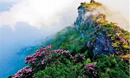 光雾山旅游攻略香炉山怎么走_光雾山香炉山风景区