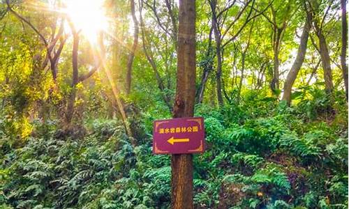 滴水岩森林公园露营_滴水岩生态园