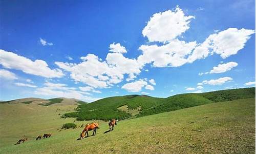 丰宁坝上草原旅游攻略_丰宁坝上草原旅游攻略自驾