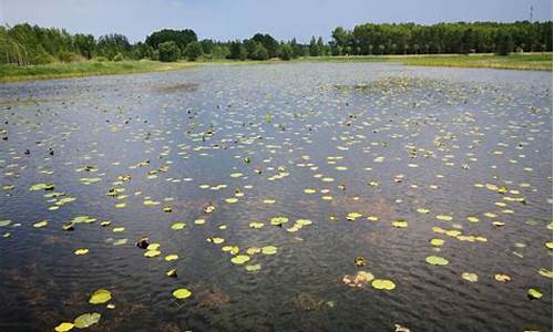 野鸭湖湿地公园可以骑行吗_野鸭湖湿地公园最佳观鸟期