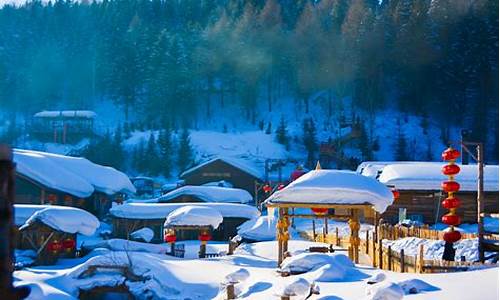 哈尔滨雪乡旅游攻略景点必去,哈尔滨雪乡旅游线路