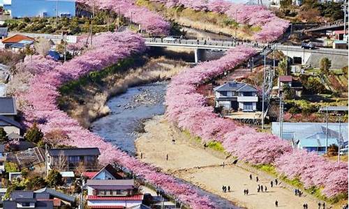 日本赏樱花著名景点_日本赏樱旅游路线