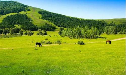 承德木兰围场景区电话,自驾承德木兰围场旅游攻略