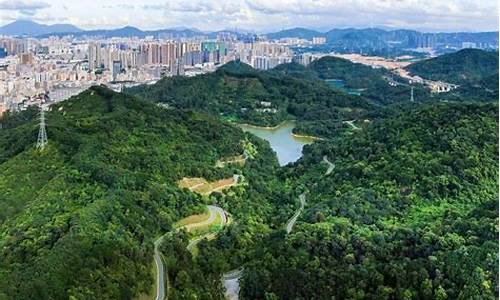 深圳龙华公园附近花店_深圳龙华区的花卉市场在哪里