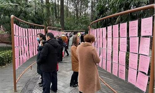 北京雕塑公园地下项目进展_北京雕塑公园相亲会