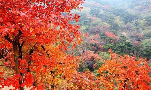 北京香山公园旅游路线,北京香山公园旅游