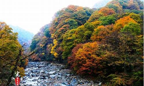 光雾山旅游攻略班车_光雾山门票团购