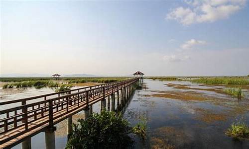 崇明岛旅游攻略一日游,崇明岛必玩三个景点