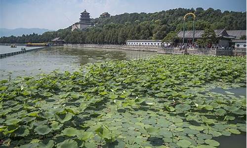 09年北京郊区公园年票,北京郊区公园年卡