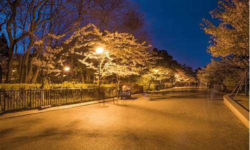 青岛中山公园晚上开门吗,青岛中山公园晚上