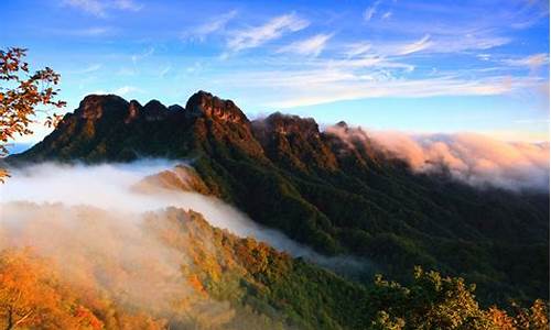 光雾山旅游攻略最新一日游路线_光雾山旅游景点有哪些景点