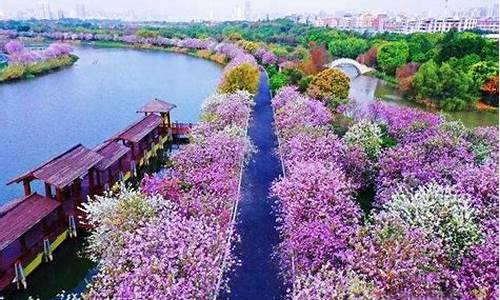 广州海珠湿地公园门票多少钱一张,广州海珠湿地公园赏花
