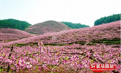 广西恭城桃花风景区_恭城桃花节自驾游攻略