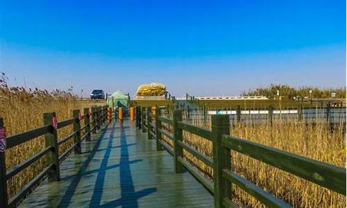 上海崇明岛旅游攻略景点必去,上海崇明岛旅游攻略