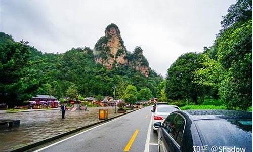 成都 张家界旅游_成都张家界旅游攻略路线