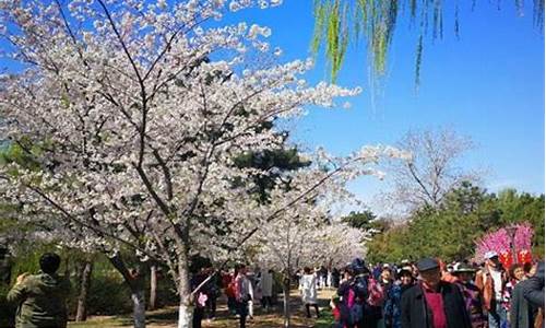 北京清明节旅游最佳去处-北京清明节旅游攻略