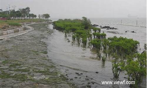 南沙滨海公园植物-南沙滨海公园电话号码是多少