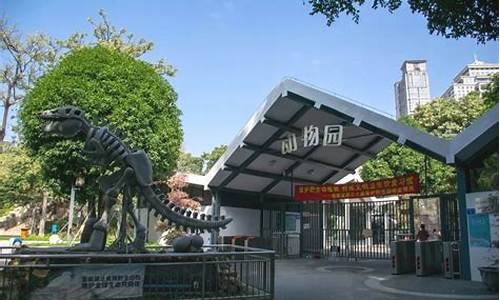 厦门中山公园动物园照片-厦门市中山公园动物园