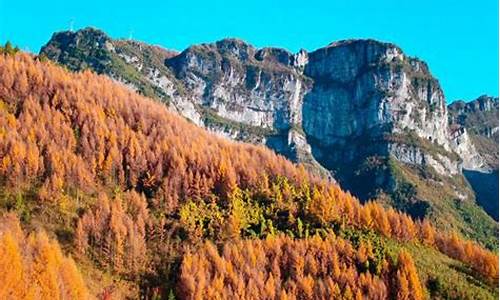 重庆秋季旅游攻略-重庆市区秋季旅游景点大全