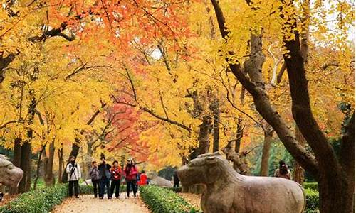 南京秋季旅游攻略从中山陵开始-南京秋季游玩