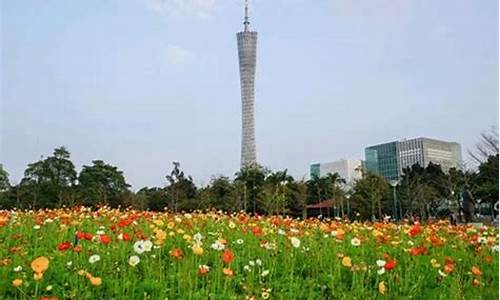 广州宏城公园现在有什么花,广州宏城花园开盘时间