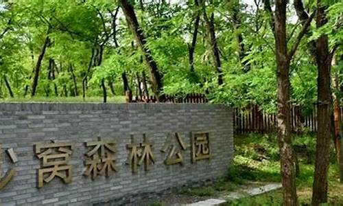 郑州森林公园门票多少钱一张,2021年郑州森林公园
